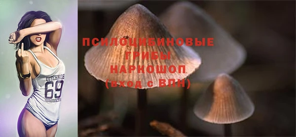 тгк Осташков