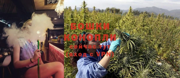 тгк Осташков