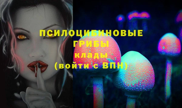 тгк Осташков